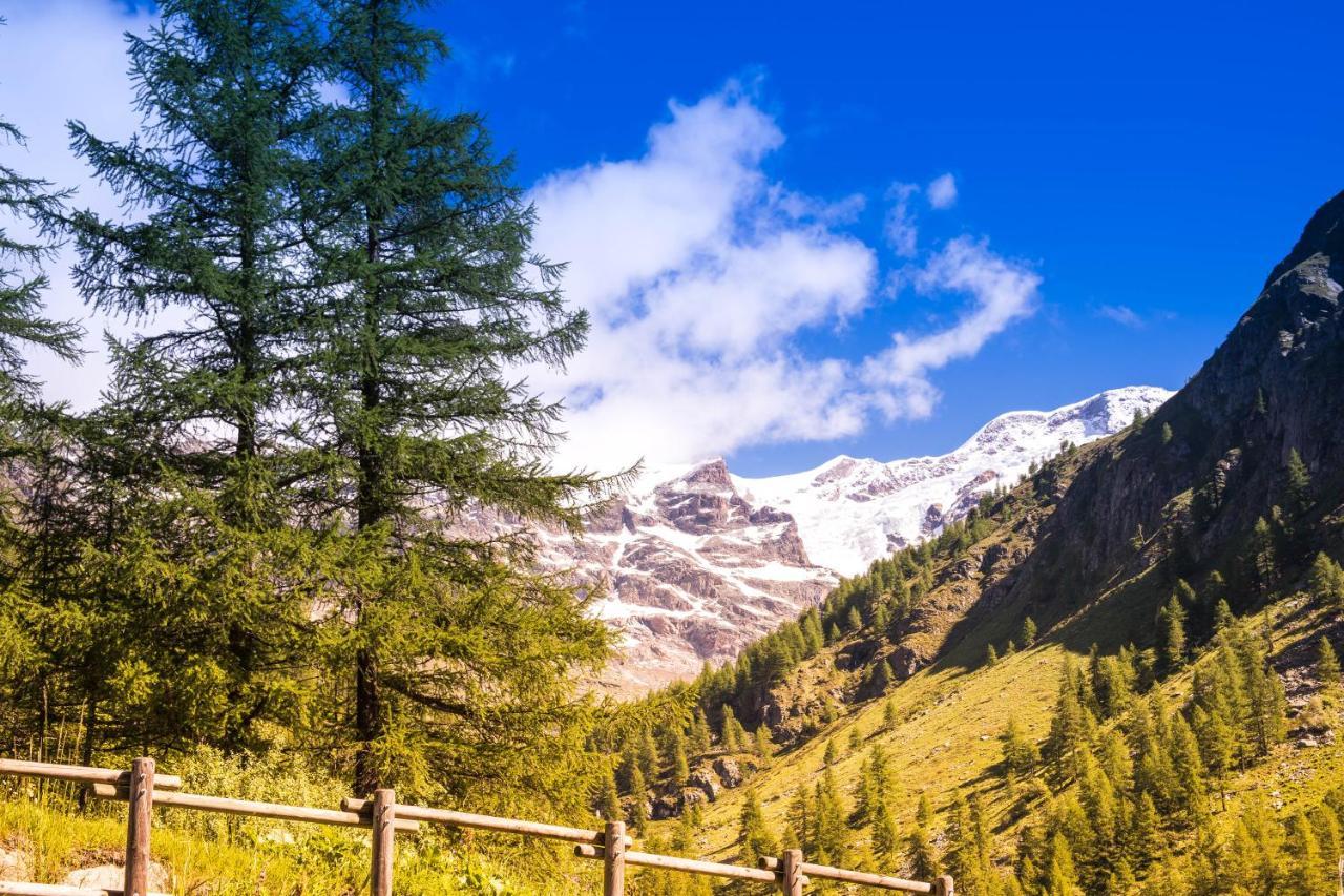 Alta Luce Mountain Lodge Gressoney-la-Trinité Εξωτερικό φωτογραφία