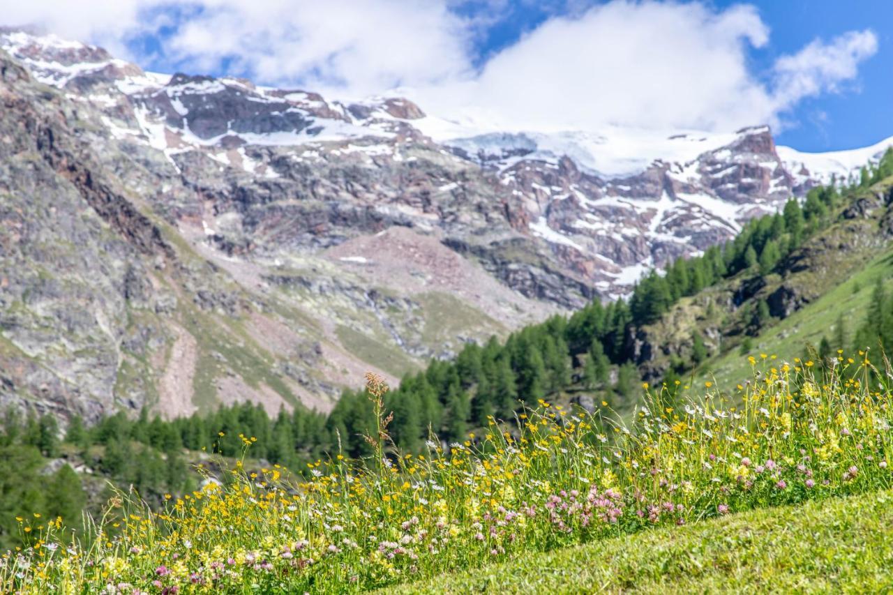 Alta Luce Mountain Lodge Gressoney-la-Trinité Εξωτερικό φωτογραφία