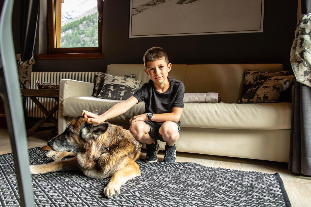 Alta Luce Mountain Lodge Gressoney-la-Trinité Εξωτερικό φωτογραφία